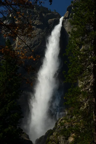 DSC_2402 (Large).JPG